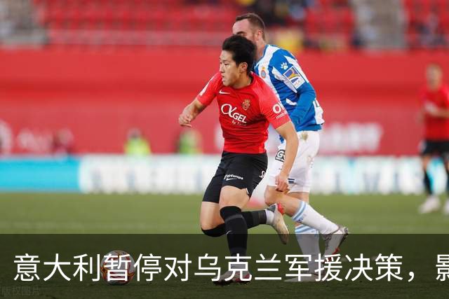 意大利暂停对乌克兰军援决策,影响因素及背景分析