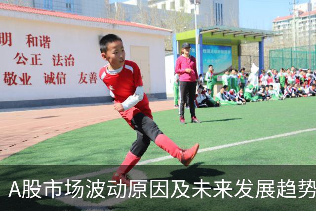 A股市场波动原因及未来发展趋势分析